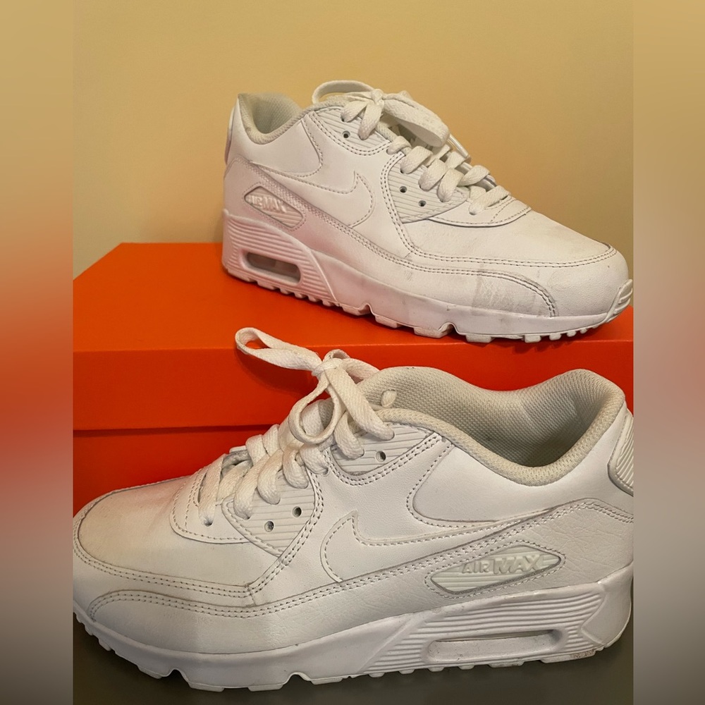 Nike Air Max 90 LTR